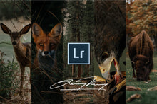 Load image into Gallery viewer, MASSIVE SHOP SALE | The Decade Collection