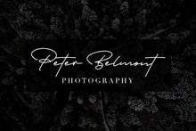 Load image into Gallery viewer, The Bestseller's Font Bundle!