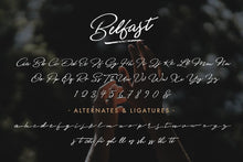 Load image into Gallery viewer, The Calligrapher's Font Bundle