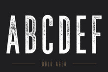 Load image into Gallery viewer, The Bestseller's Font Bundle!