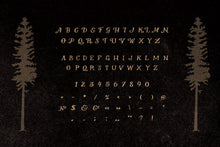 Load image into Gallery viewer, Native + Instapress