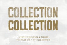 Load image into Gallery viewer, Vintage SVG Bundle & Logo Templates