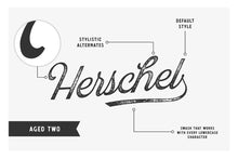 Load image into Gallery viewer, Collector's Font Bundle - 53 Fonts!