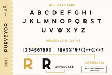 Load image into Gallery viewer, Collector's Font Bundle - 53 Fonts!