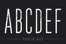 Load image into Gallery viewer, The National - Condensed Family