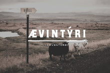 Load image into Gallery viewer, Höchstadt