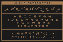 Load image into Gallery viewer, Wayfarer - Hand Drawn Font
