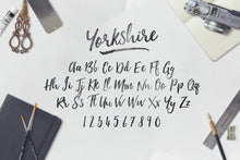 Load image into Gallery viewer, The Calligrapher's Font Bundle