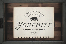 Load image into Gallery viewer, Massive Font Bundle