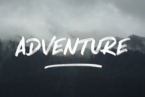 North Port | All Caps Brush Font