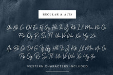 Load image into Gallery viewer, The Calligrapher&#39;s Font Bundle
