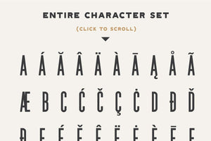 The Bestseller's Font Bundle!