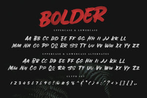 BOLDER - Smallcaps SVG Brush Font