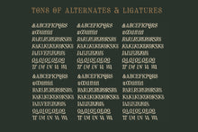 Load image into Gallery viewer, The Sterling Bros | Vintage Serif
