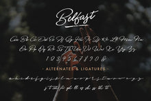 Load image into Gallery viewer, The Calligrapher&#39;s Font Bundle
