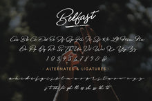 Load image into Gallery viewer, Belfast - A Dry Brush Script
