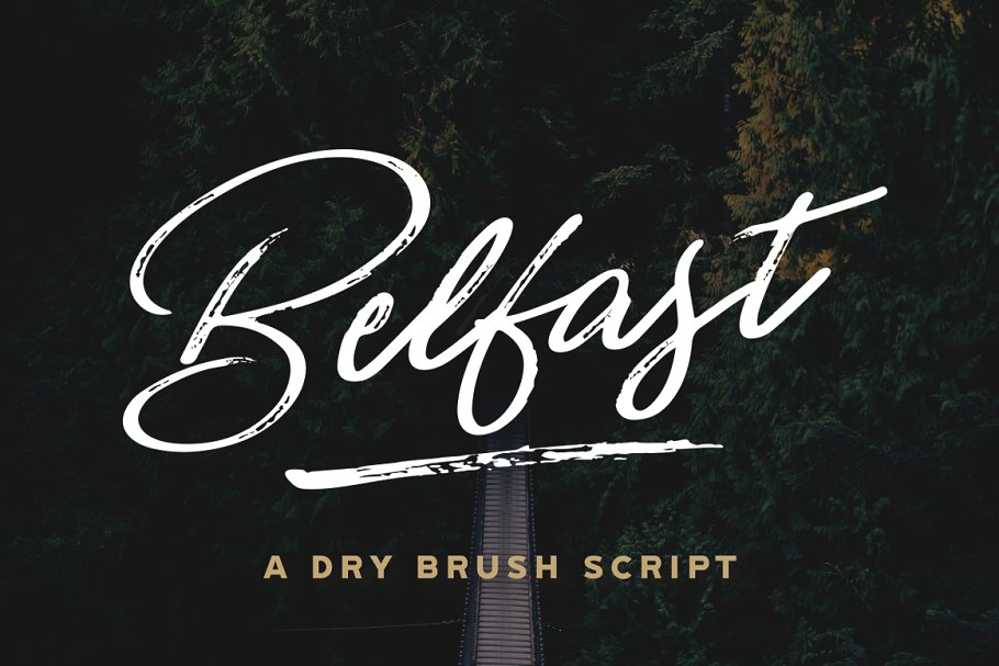 Belfast - A Dry Brush Script