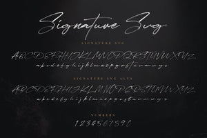 The Calligrapher's Font Bundle