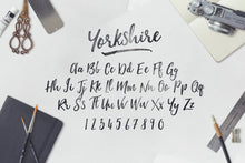 Load image into Gallery viewer, The Calligrapher&#39;s Font Bundle
