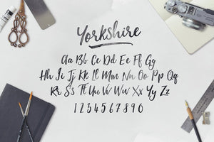 The Calligrapher's Font Bundle